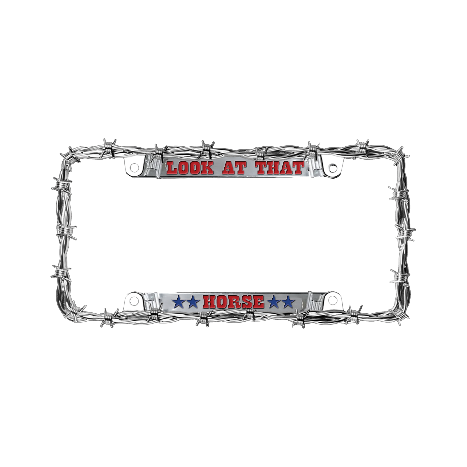 CCT LICENSE PLATE