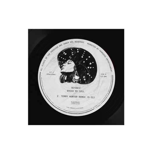 BREAK MY SOUL (TERRY HUNTER REMIX)